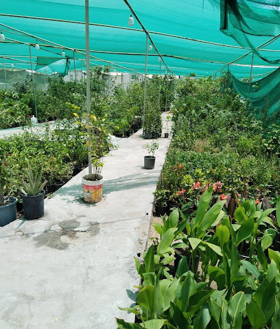 مشتل بروق المواسم ٢ - سيهات - +966 54 400 5785