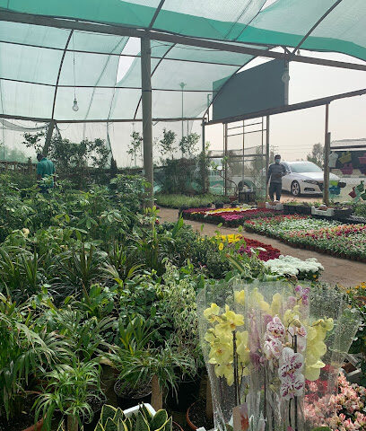 حضانة العرود - تبوك - +966 54 555 2276
