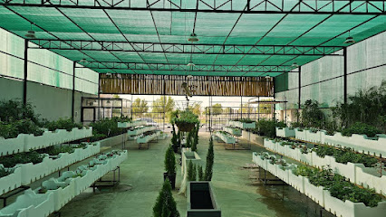زاوية. مروج - الرس - +966 53 649 2000