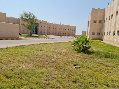 جامعة طيبة - طالبات - ينبع -