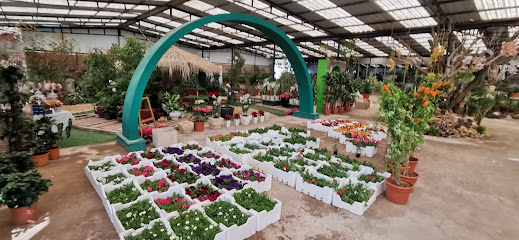 حضانة جميلة جاردن - الرياض - +966 50 520 8830