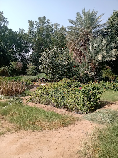 مشتل الجمعان - Saudi Arabia|Al Jumum 25352|Abu `Urwah|ابو عروة،