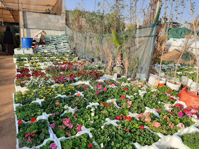مشاتل الحدائق الزراعية - الرياض - +966 54 266 5124