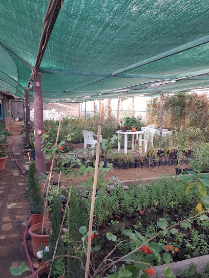 مشتل سعود - Saudi Arabia|Buraydah 52391|Al Rabwah|3534 Prince Sultan Ibn Abdulaziz Rd