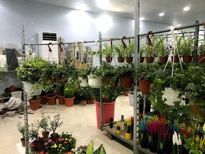 مشاتل و مزرعة نوارة - الخرج - +966 55 444 2351