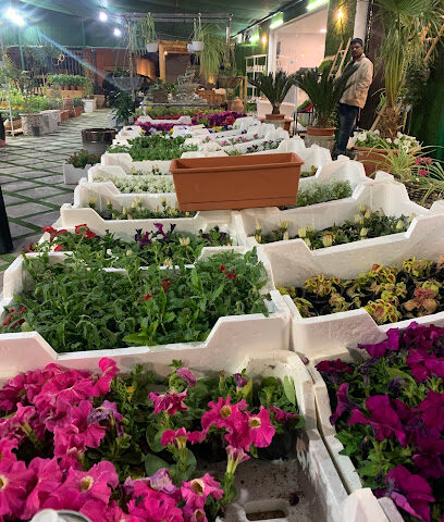 حضانة افكار الحدائق - بريدة - +966 50 497 9149