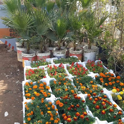 مشاتل الزراعيه - الرياض - +966 56 675 0147