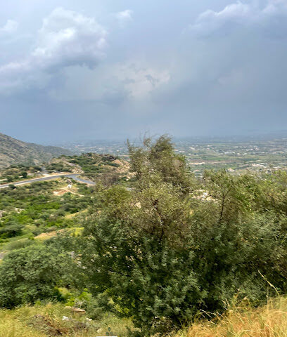 ملعب - جازان -