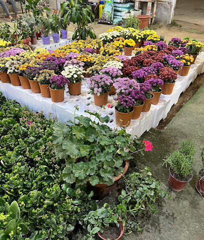 مشتل النسيم الزراعي - خميس مشيط - +966 57 590 1320