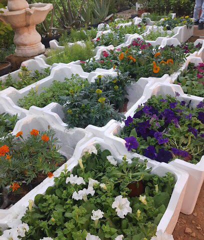 مشتل شركة انتصار - الخرج - +966 56 558 2035