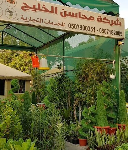 مشتل محاسن - الجبيل -