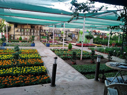 شركه المجال الزراعى - نجران - +966 50 499 1500