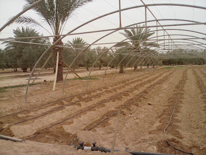 استراحة المتميزة - القريات - +966 53 532 6936