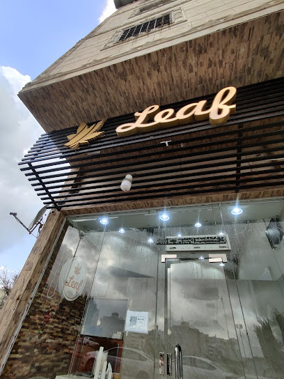 ورق عنب ليف (ورق) - Saudi Arabia|Al Bahah 65542|Albaher|الامير سلطان بن عبد العزيز