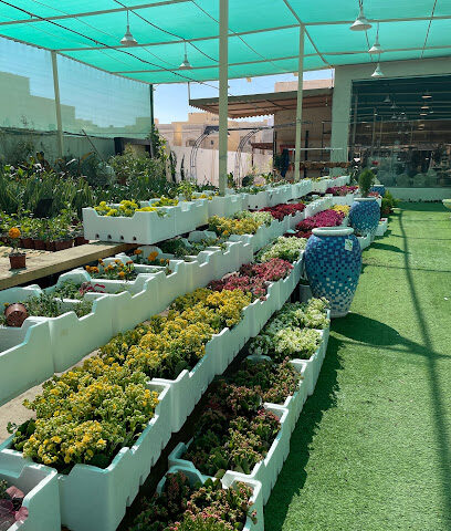 مشتل أفكار الحديقة 2 - بريدة - +966 56 336 8640