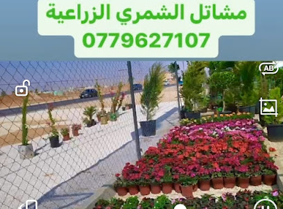 مشاتل الشمري الزراعيه - بلجرشي - +962 7 7926 7107