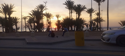 شاطىء النخيل - أملج -