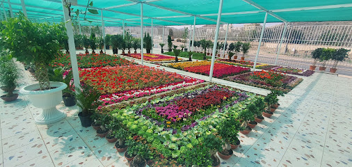 مشتل ذوق الياسمين - الطائف - +966 53 888 3938