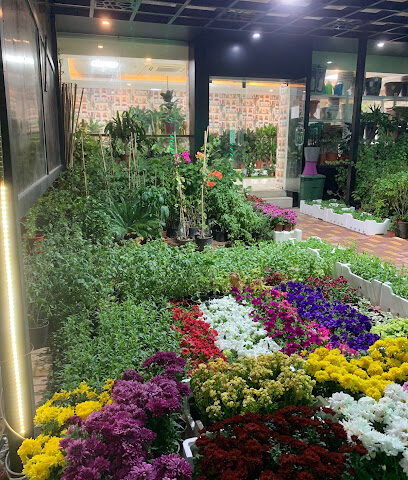 مشتل هدوء الاماكن لتنسيق الحدائق - الجبيل - +966 58 280 2227