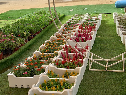 مشتل سند - ابو عريش - +966 53 000 2093