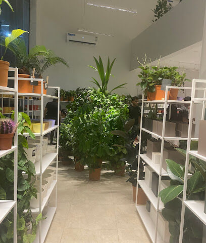 بلانت راك | رف النبات - سكاكا - +966 53 958 4228
