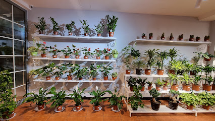 مشتل الحمرا الزراعية - الجبيل - +966 54 588 6348