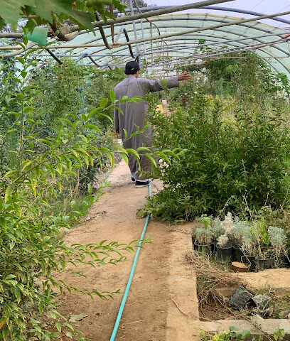 مشتل حدائق الدنيا الزراعية - النماص - +966 50 013 0716