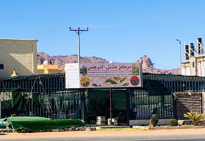 مشتل النرجس - يشيد -