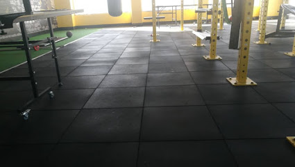 أرضيات ملاعب أرضيات عشب صناعي - جدة - +966 57 516 1322