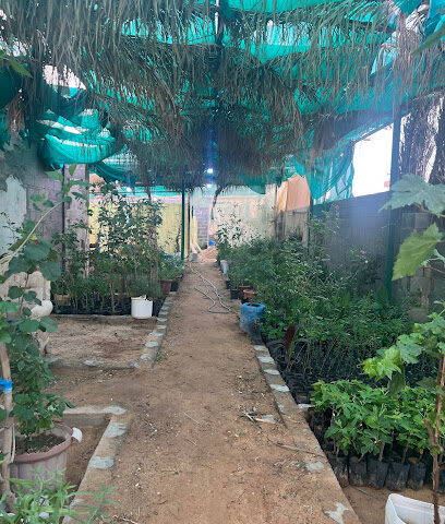 مشتل باب القصر - جفين القديمة - +966 54 849 3487