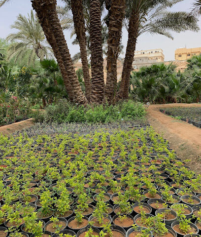 مشاتل الغابة - الدرعية - +966 59 123 0581