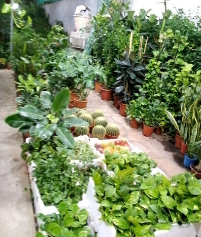 مشتل ابو عمار - الرياض - +966 56 280 5223