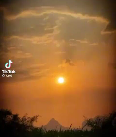 مشتل بلدية الخرج - الخرج -