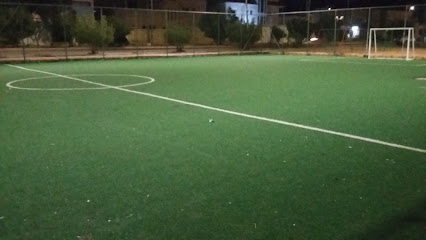 ملعب حكومي - سكاكا -
