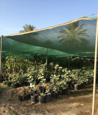 مشتل حسن سلطان - عنك - +966 50 498 4610