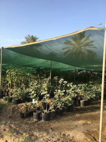 مشتل حسن سلطان - Anak 32651