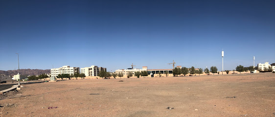 كلية المجتمع للبنات - المدينة المنورة - +966 14 861 8888