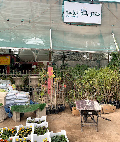 مشاتل زراعية - الهفوف - +966 50 747 8881
