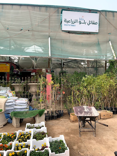 مشاتل زراعية - Al Hofuf 36343