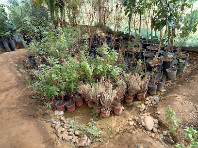 مشاتل ماضي - صبيا - +966 50 479 1922