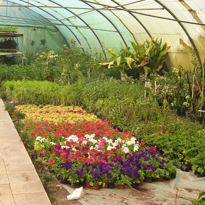 حدائق روابي النيل خميس مشيط - خميس مشيط - +966 50 575 4345