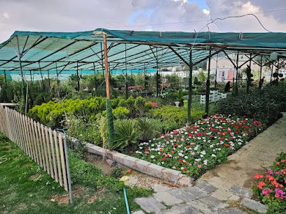 مشتل الرباعي - الباحة - +966 56 130 3457