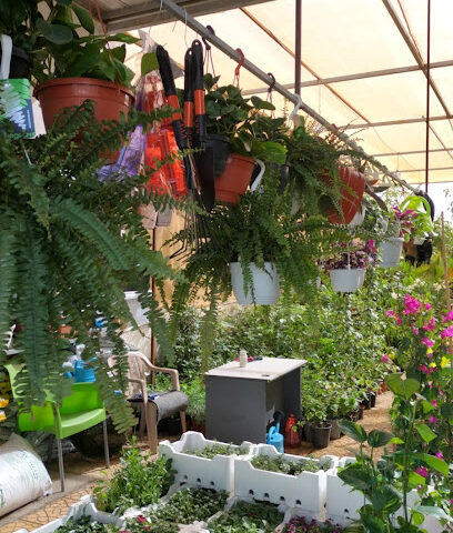مشتل كنوز الورد - الرياض - +966 56 628 6336
