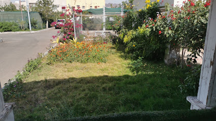 مشتل الجرف - المدينة المنورة - +966 56 182 4960