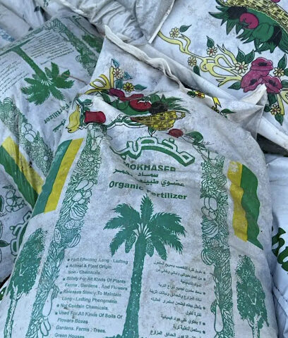 مشتل ارياف الطبيعة - الراشدية ، - +966 50 092 9314