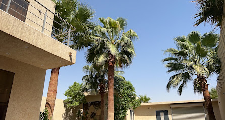 منتجع صوفيا - بريدة - +966 55 952 8663