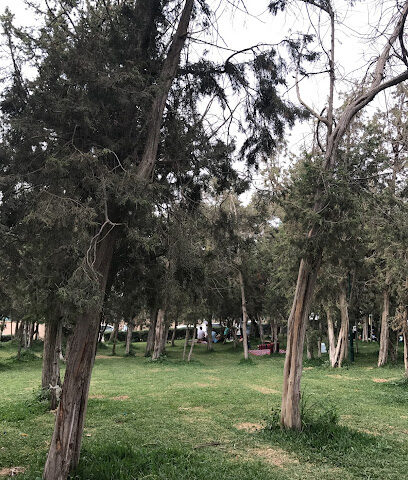 دورة مياه - الباحة -