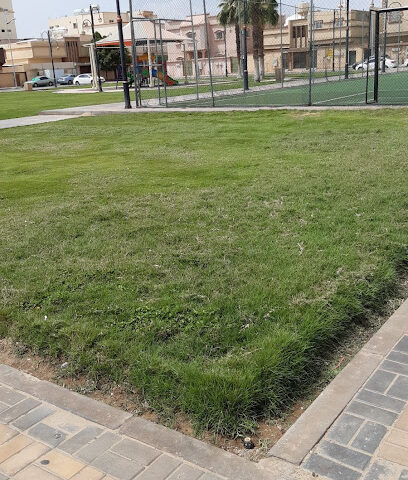 مركز الخالدية - نجران - +966 17 522 4875