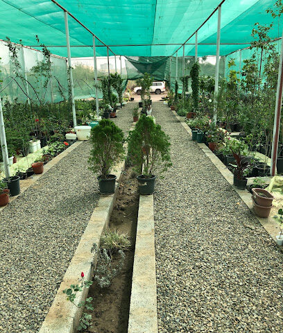 مشتل ريف ابها - أبها - +966 55 595 6282
