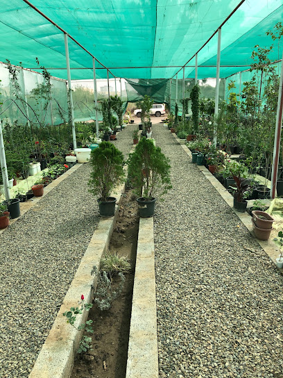 مشتل ريف ابها - Saudi Arabia|Abha 62528|Alarin